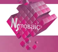 NS- mosaic